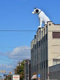 Image result for nipper albany