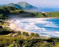 Imagem de untouched beauty of Praia do Rosa, Santa Catarina, Brazil