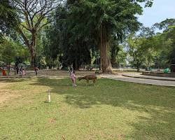 Image of Taman Balekambang