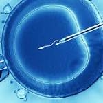  First State-Sanctioned Three-Parent Babies to be Born