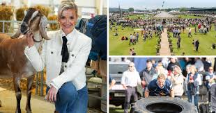 The York Press - News update