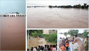 The Express Tribune - News update