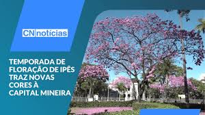 Notícias - Canção Nova - News update