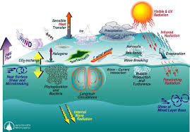 Image result for ehsq nagarjuna group