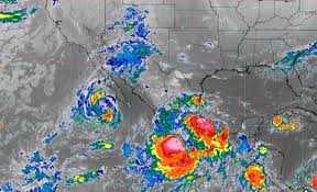 La Jornada - News update