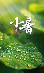 紫牛新闻 - News update