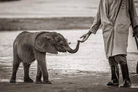 The Work of Generations