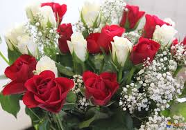 Rsultat de recherche d'images pour "image fleur"