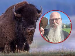Yellowstone Bison Involved in Viral Tourist Attack Won't be Euthanized