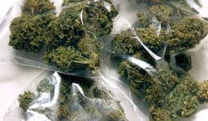 Resultado de imagen de Legalization