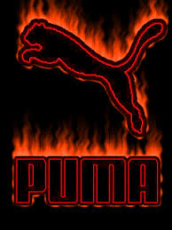 Resultado de imagen de marca puma