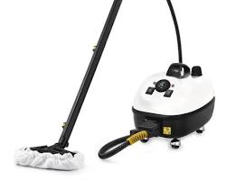 Image de technicien vapeur sèche professionnelle punaise de lit textile luxe rideaux soie