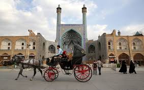 Image result for IRAN HORSES