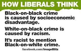 Résultat de recherche d'images pour "black on white crime"