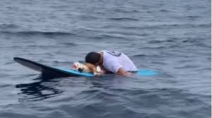 Triste homenagem em pracha de surfe a cão morto emociona; VEJA