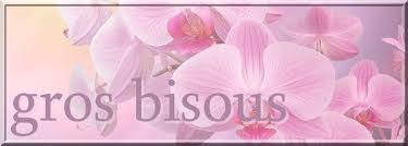 Résultat de recherche d'images pour 