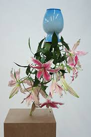 Image result for tony matelli