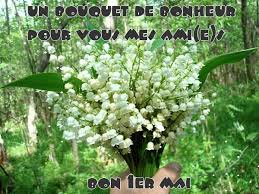 R�sultat de recherche d'images pour "image humoristique grenouille et muguet du 1er mai"