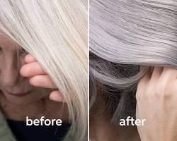 Image de Long Grey Hair with Silver Toner