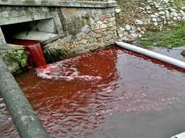 ��������� ������ ��������� �� ������� "����� ����� �� ��������"