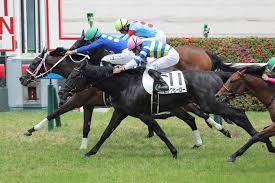 競馬予想のウマニティ - News update