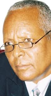 Image result for merera gudina