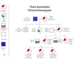 Image of genogram showing three generations of a family, including information about relationships, medical history, and mental health