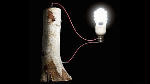 wood-battery