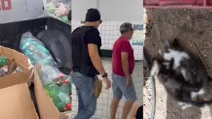 32 animais foram mortos com suspeita de envenenamento no litoral do PI, diz delegado