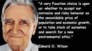 Edward-O.-Wilson-Quotes-1.jpg (580×323) | E. O. Wilson | Pinterest ... via Relatably.com