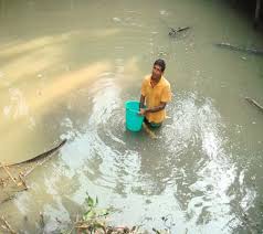 Image result for Fisheries, in Gopalganj District