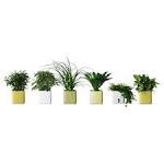 Decora tu exterior con macetas y plantas para terrazas - IKEA