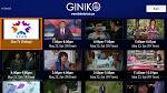 Miami TV - Watch Free Online: Live DVR - Giniko