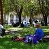 Groups work to provide permanent housing forSt.Pete'shomeless