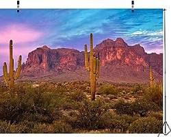 Image of desert landscape with cacti, sand dunes, and a rocky mountain range in the distance