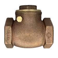 Check Valve 1/2" NPT thread w/Rubber Seat - ARGCO.COM
