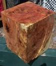 Black cherry burl