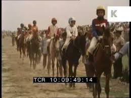 Image result for IRAN HORSES
