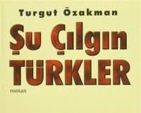 Tarihi romanı
