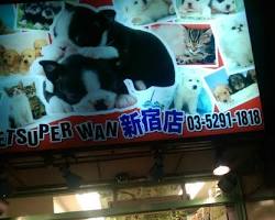 Pet Super Wan Shinjukuの画像