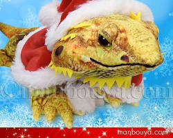 フトアゴヒゲトカゲ クリスマスパーティー グッズの画像