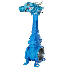 Industrial Gate Valve Manufacturer China | Topper