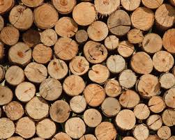 Znalezione obrazy dla zapytania log