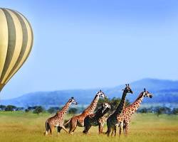 Serengeti Balloon Safari