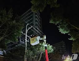 엘리베이터