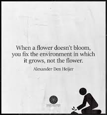 Image result for when a flower doesn't bloom