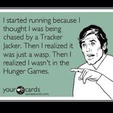 If we burn, you burn with us! on Pinterest | The Hunger Game ... via Relatably.com