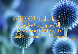 If YOU had a “bad” day, don&#39;t worryfunny quotes,funny quotes and ... via Relatably.com