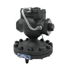 Spirax Sarco 71435, 25P Main Valve, 2" NPT | Cooney Brothers