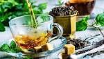 الأعشاب الطبية تساعد على محاربة
